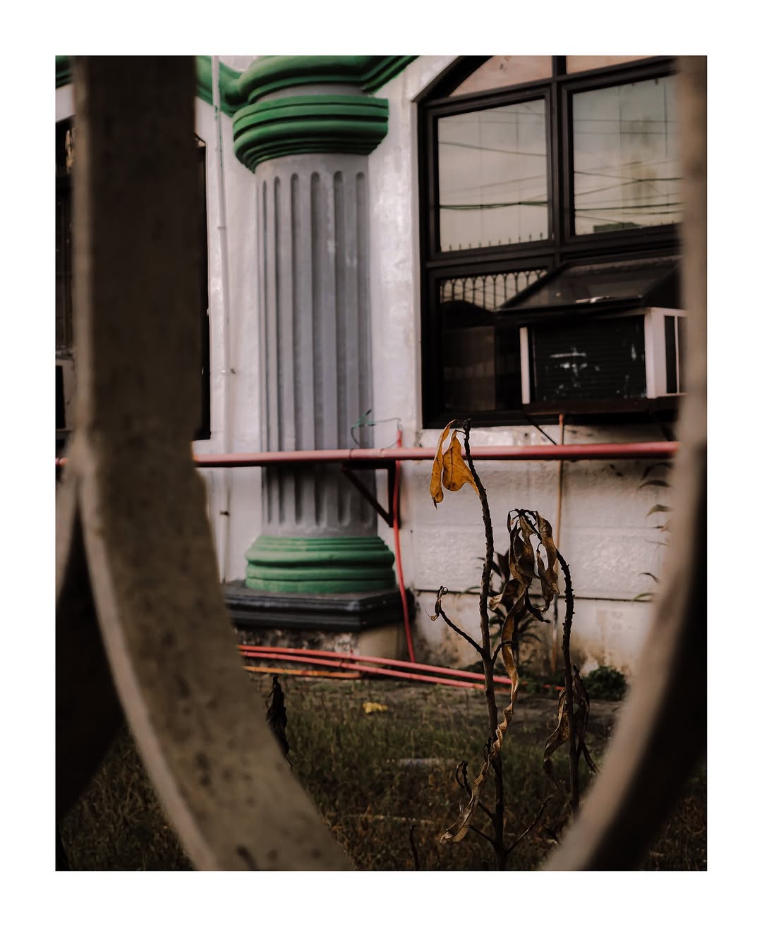 Withered leaves on thin stems in front of a building with a green-trimmed column, windows, and red railings, seen between blurred foreground bars.